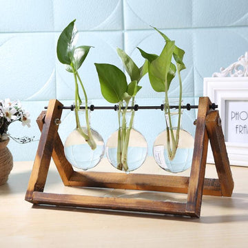 Glass and Wood Vase Planter Terrarium Table Desktop Hydroponics Plant