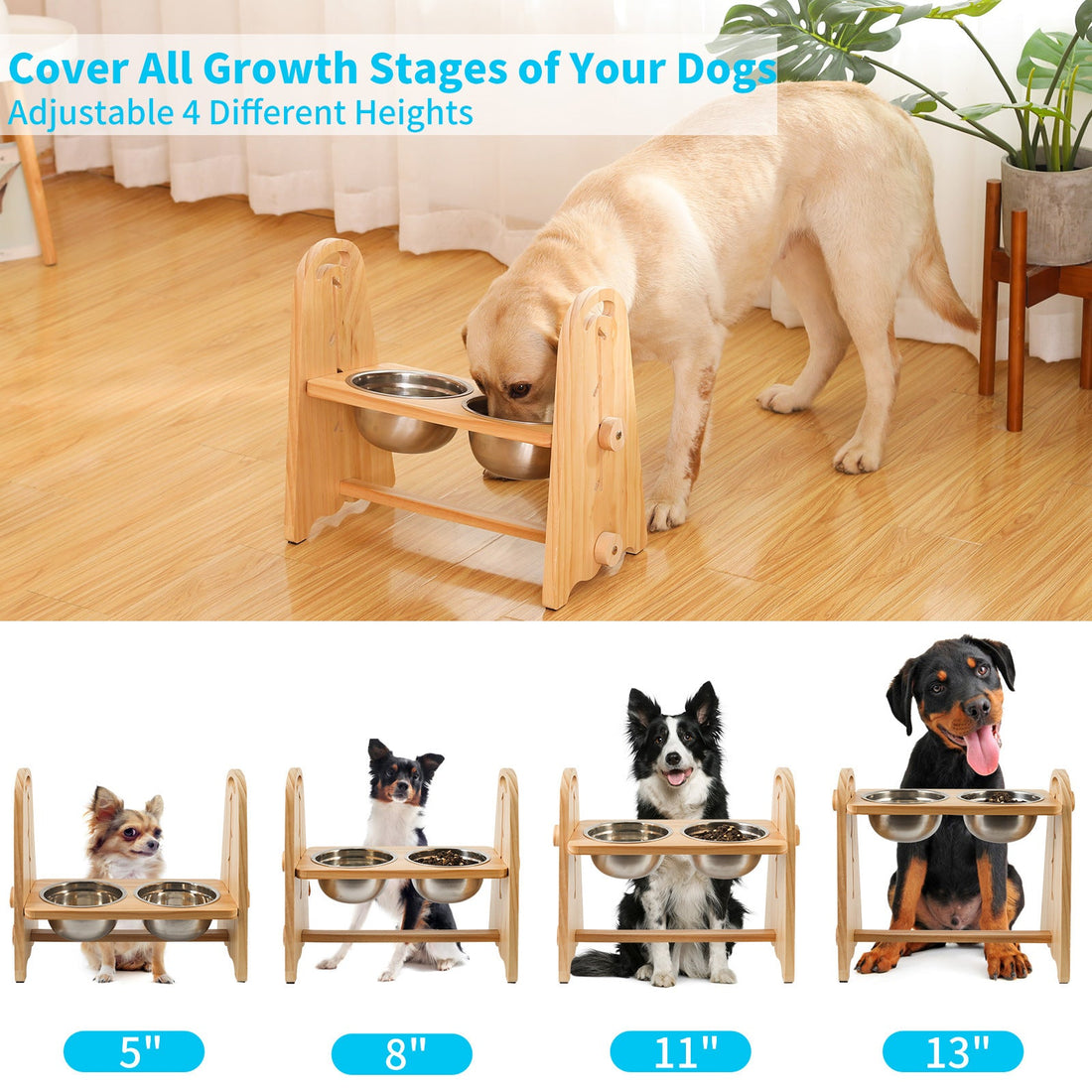 Elevated Dog Bowls for Medium Large Sized Dogs, Adjustable Heights