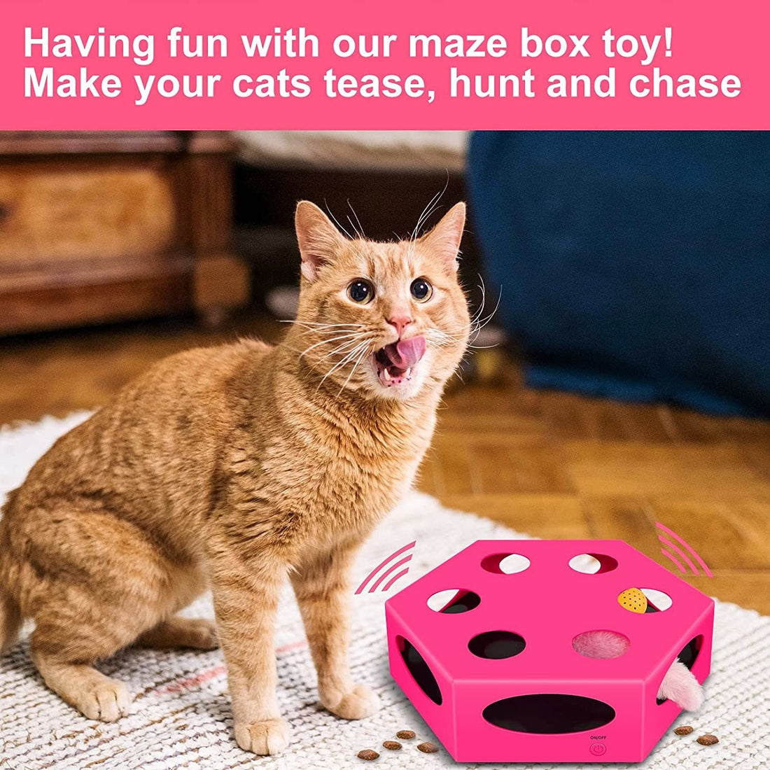 FluffyDream Interactive Cat Maze Box Toy, Electrical Cat Exercise