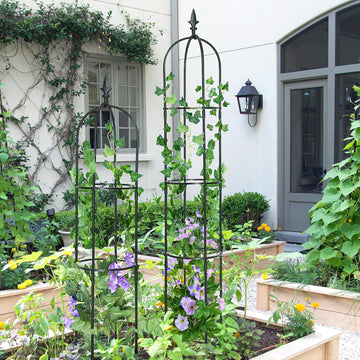 6.2ft Garden Obelisk Trellis; Lightweight Rustproof Plastic Coated